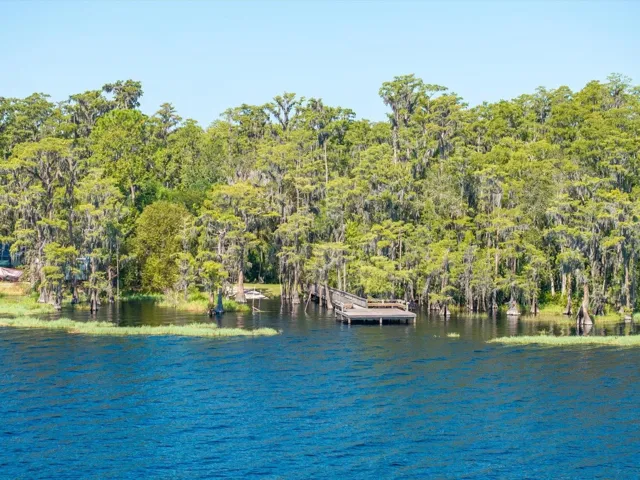 Lake Louisa - Private Neighborhood Access