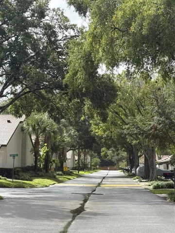 Tree lined streets