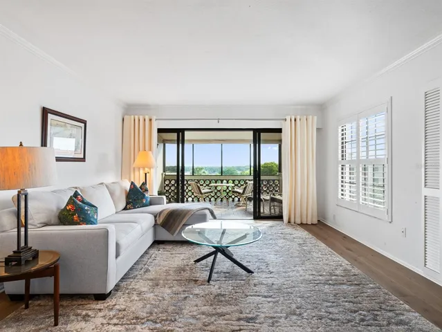 Living Room and Balcony