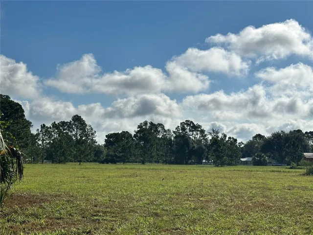 Lot 3