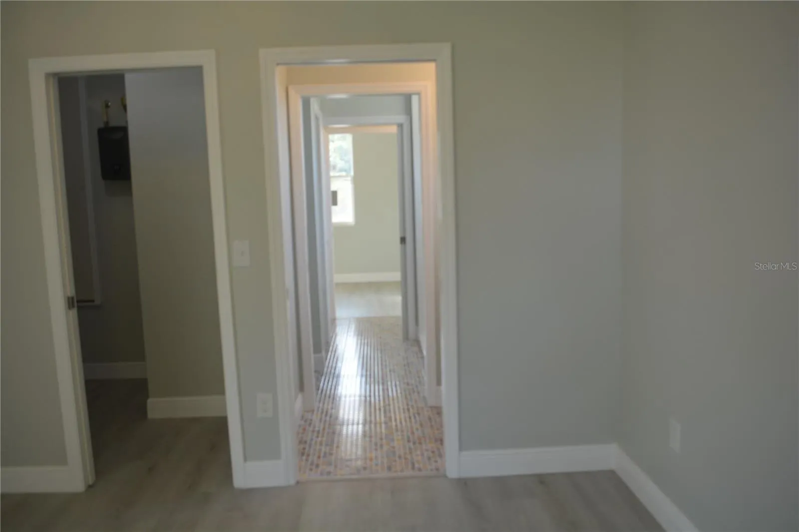 Primary bedroom with walk-in closet
