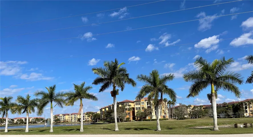 View from the road
