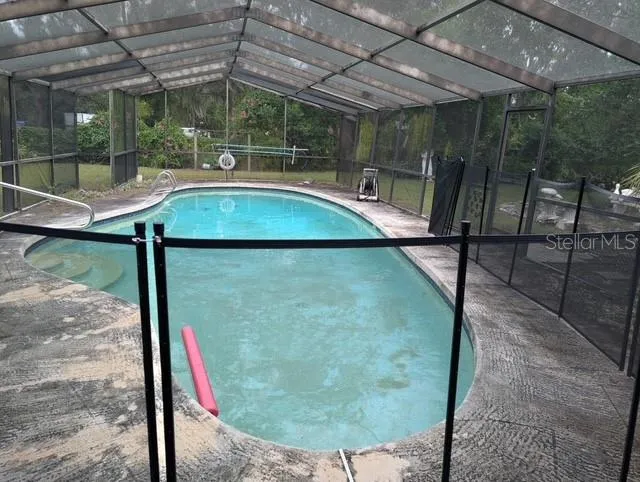 Backyard Pool
