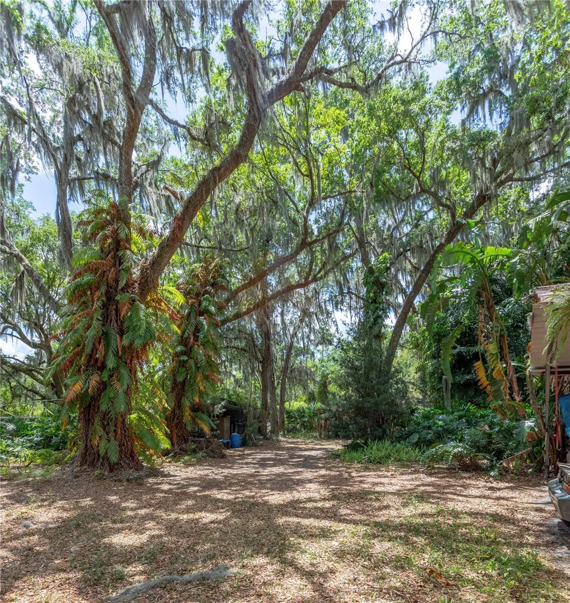 Front Yard