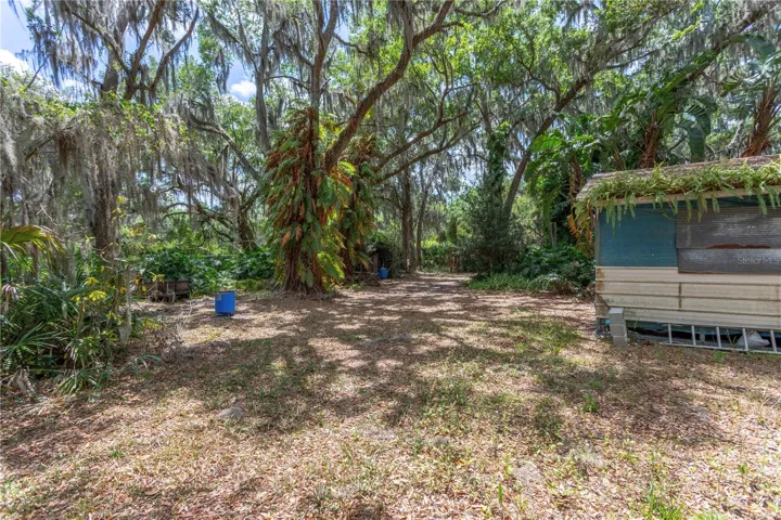 Side Yard