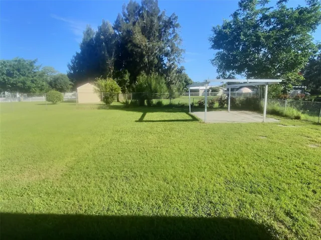 Backyard.