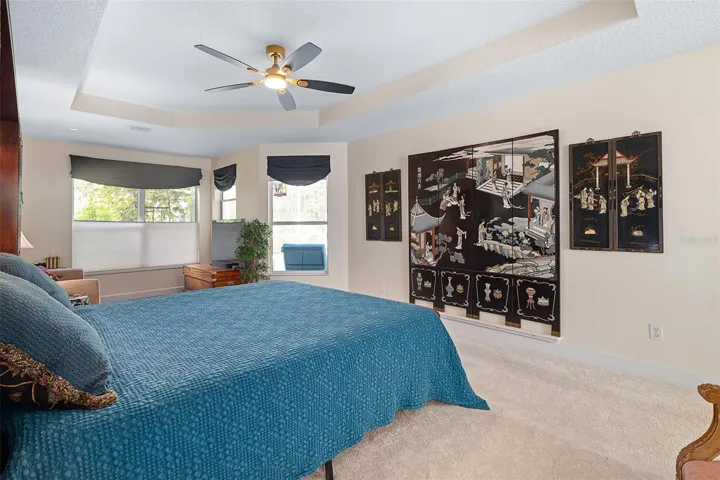 Tray Ceiling & Plush Carpeting