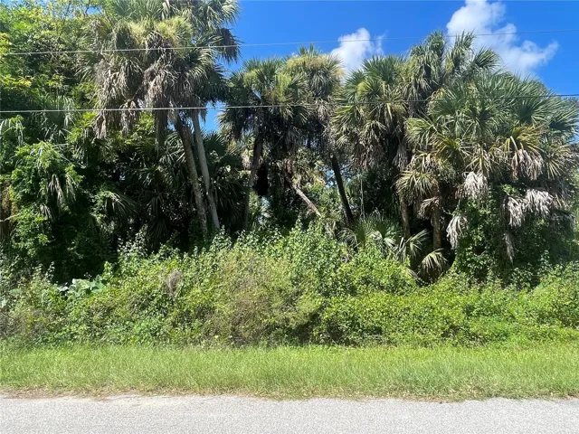 Snyder Lot 6 Block 1019 MLS#C7514923