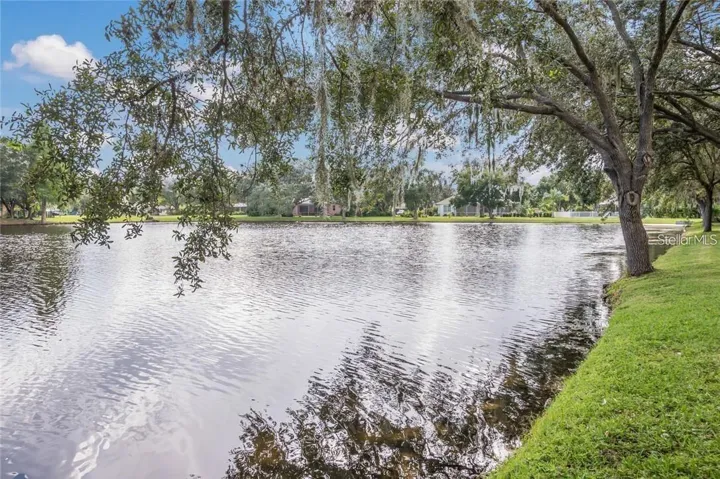 Huge Lake/Pond