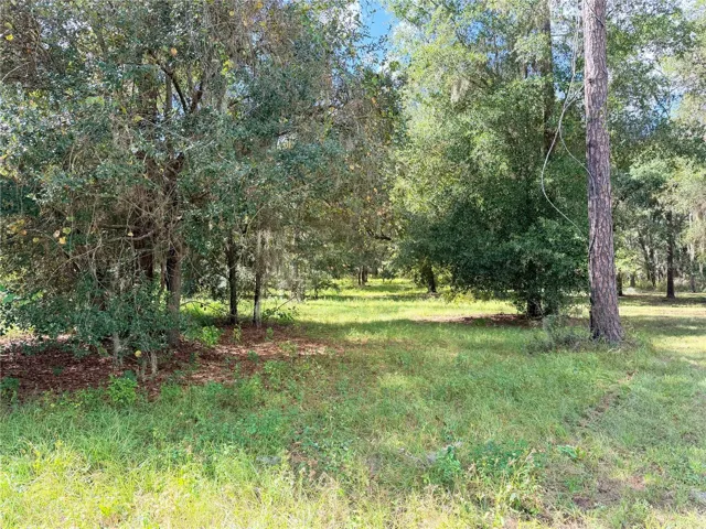 10 Acres of Oaks and Pines that lead to lake