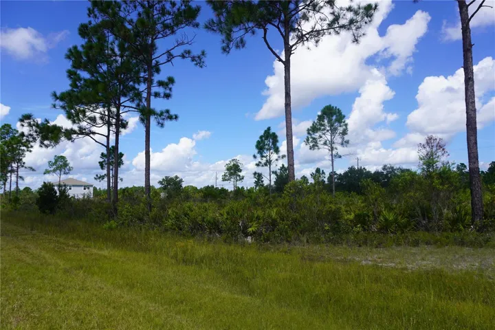 Welcome to 402 Japonica Ave a beautiful corner lot in Indian Lake Estates