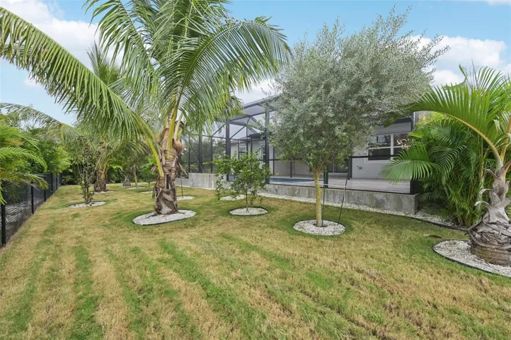 Exterior - Backyard