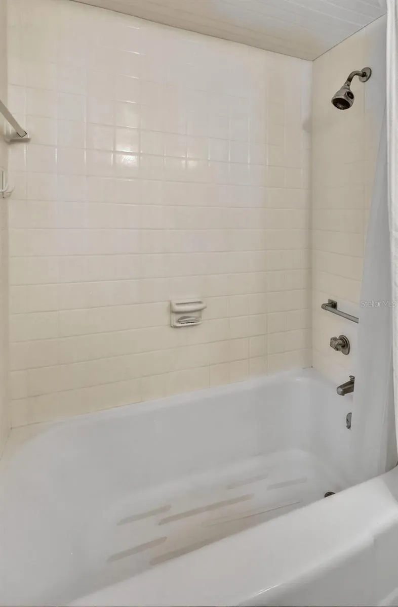 Guest Bath shower
