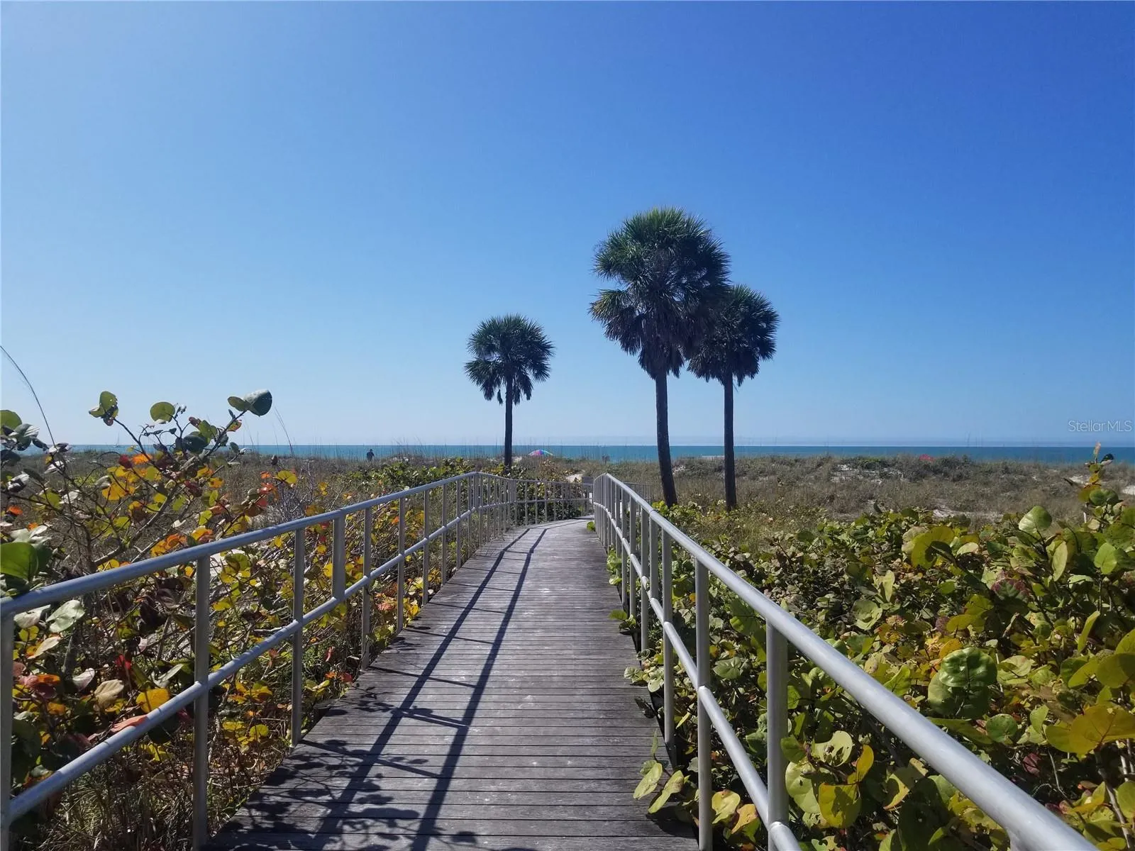Walkways to the Beach
