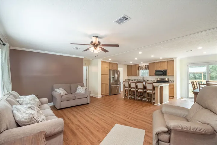 Living room/Kitchen