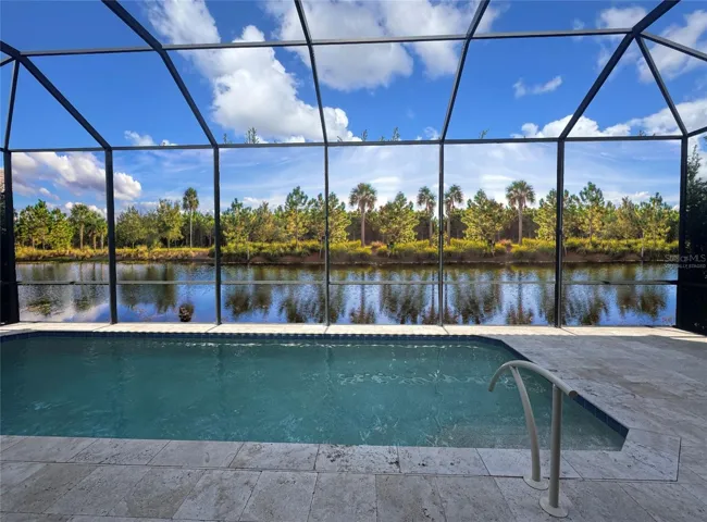 Virtually Staged New Custom Mural Pool Screen Elevates Outdoor Spcace