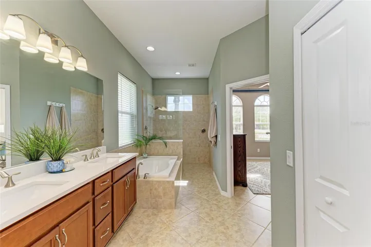Luxurious Bath with Soaking Tub