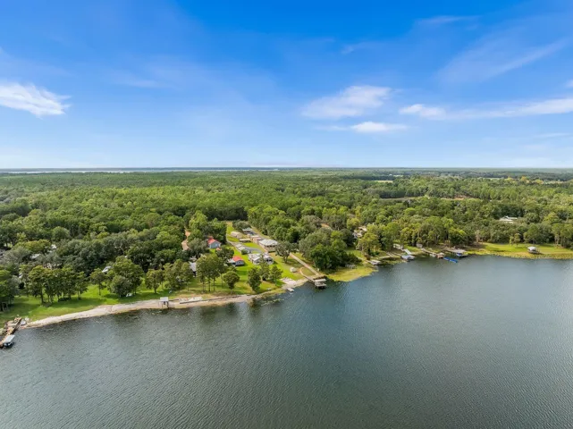 Welcome to Lake Lily!