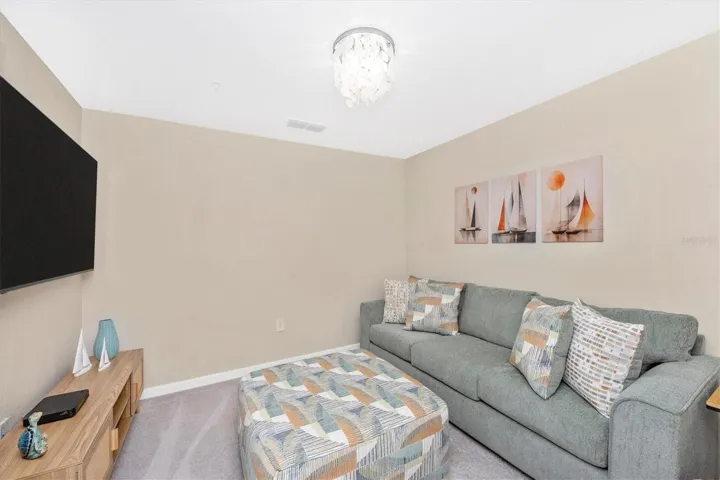 Den with Pullout Sofa