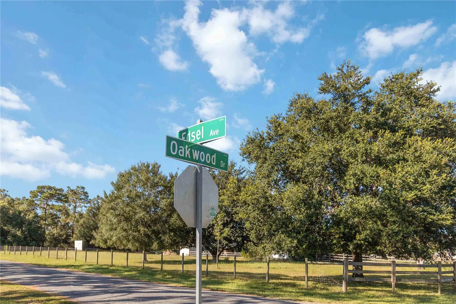 Edsel Street Sign