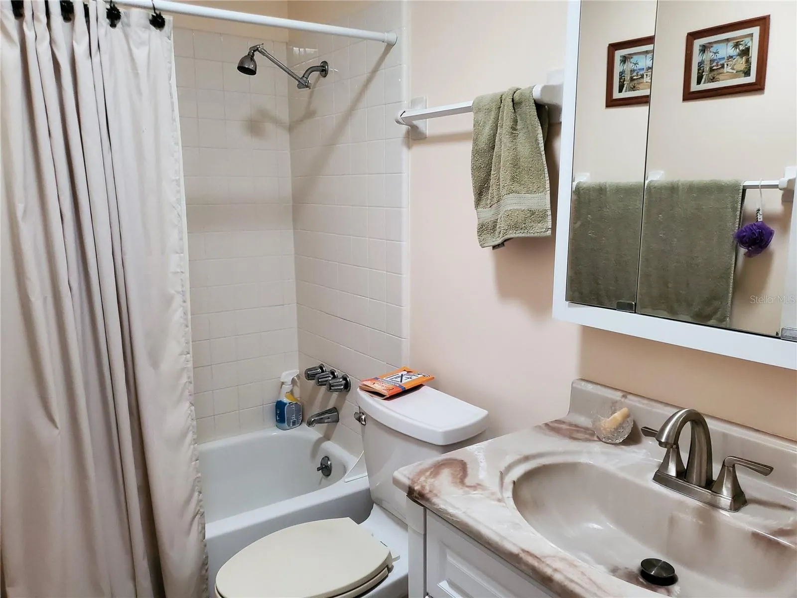 Guest bathroom
