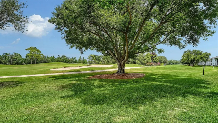 Your View of the 6th fairway of Tara Golf &amp; Country Club.