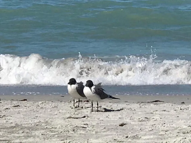 1170