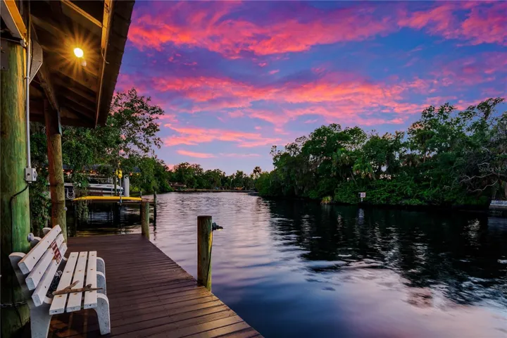 views from the private dock showcase the peaceful Alafia River setting, surrounded by lush Florida landscape and offering a true waterfront lifestyle right from your backyard.