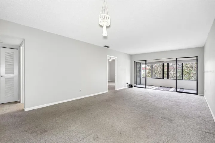 No More Carpet all Brand New LVP