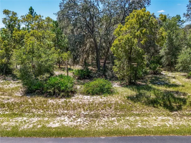 3134 Bright Lake Cir.