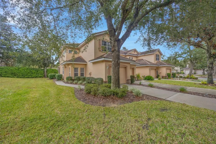 Extended Driveway