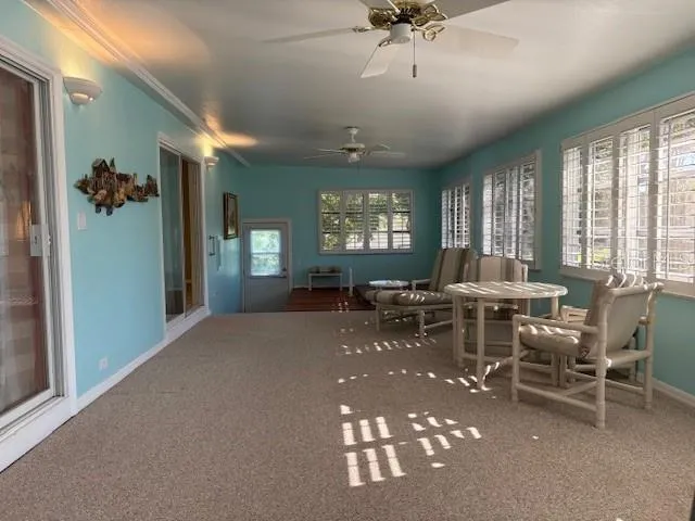 Back Porch
