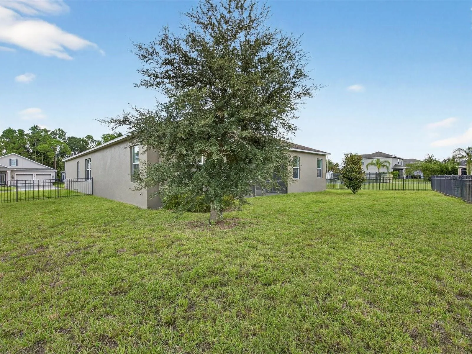 Large fenced yard