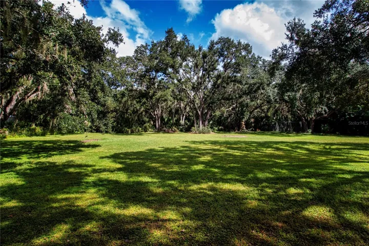 View of the back yard from outside the Florida room