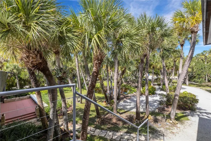 Front Yard View from Guest House