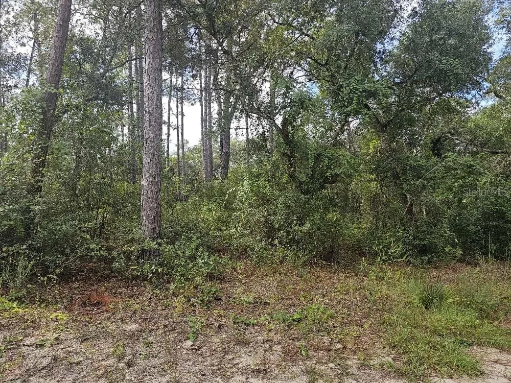 high and dry property