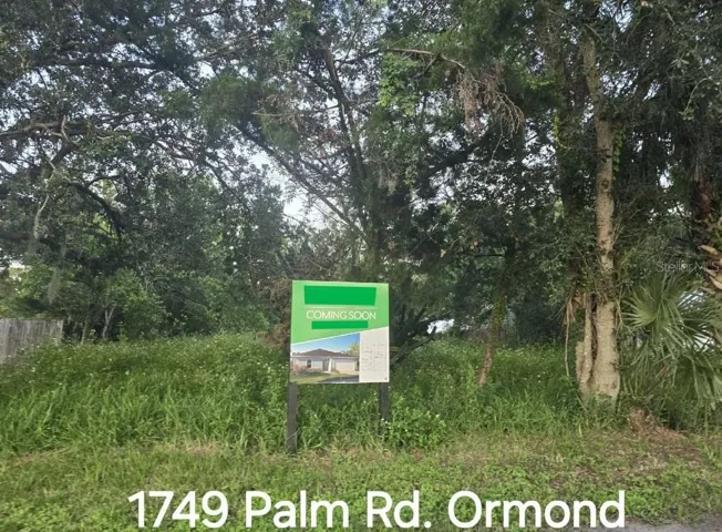 Beautiful flat wooded lot