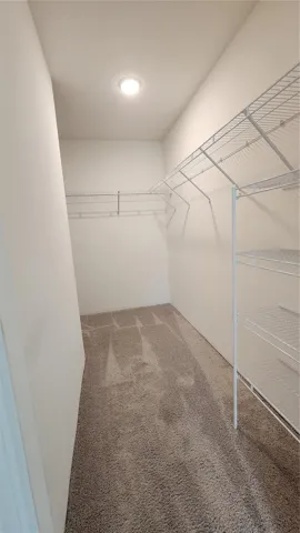 Primary Walk-In Closet