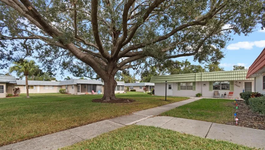 Beautiful oak out front door