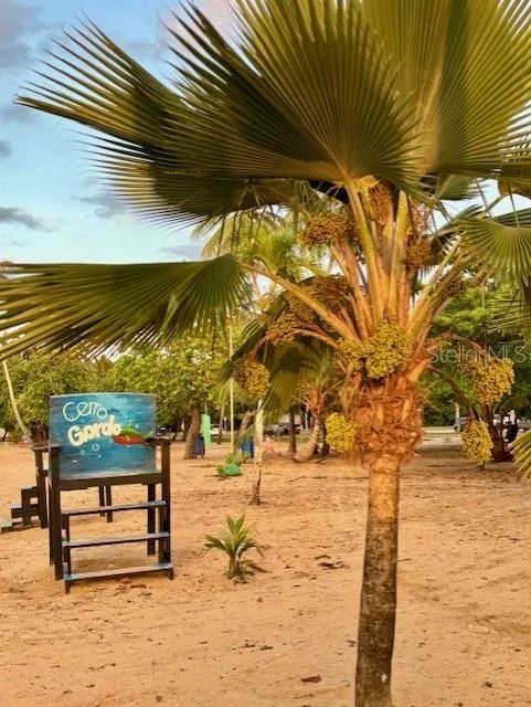 Cerro Gordo Beach