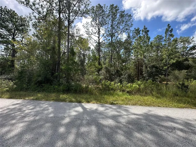 Front of Lot