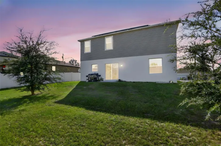 Backyard with trees (digitally edited) Dusk