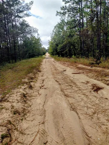 7TH WAY TO FLORIDA TRL