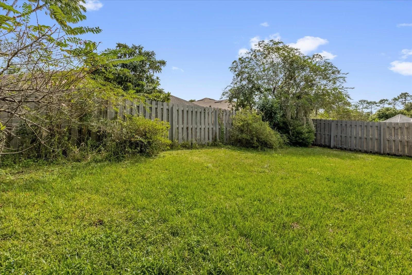 Fenced Backyard