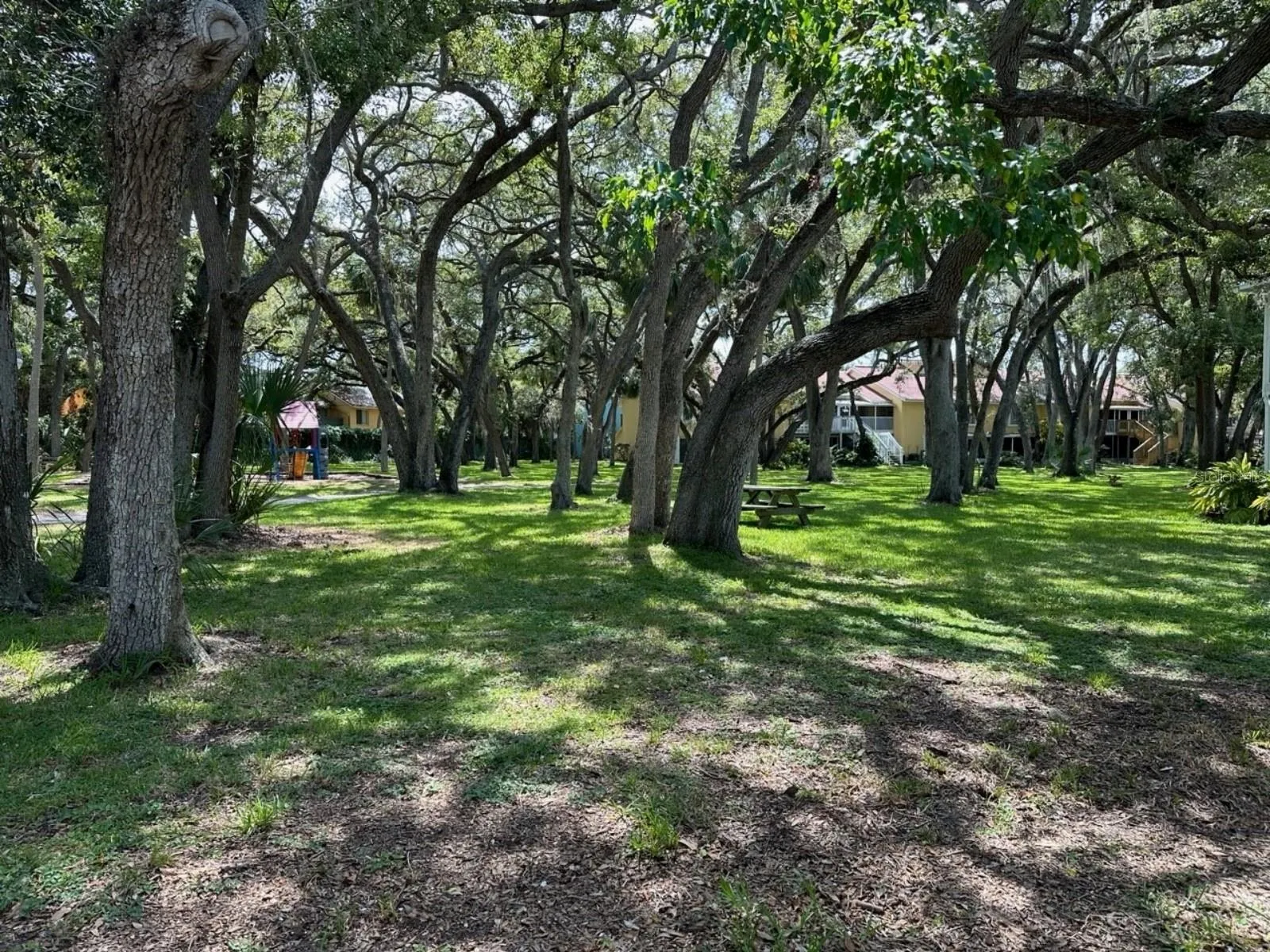 Bbay Nature view