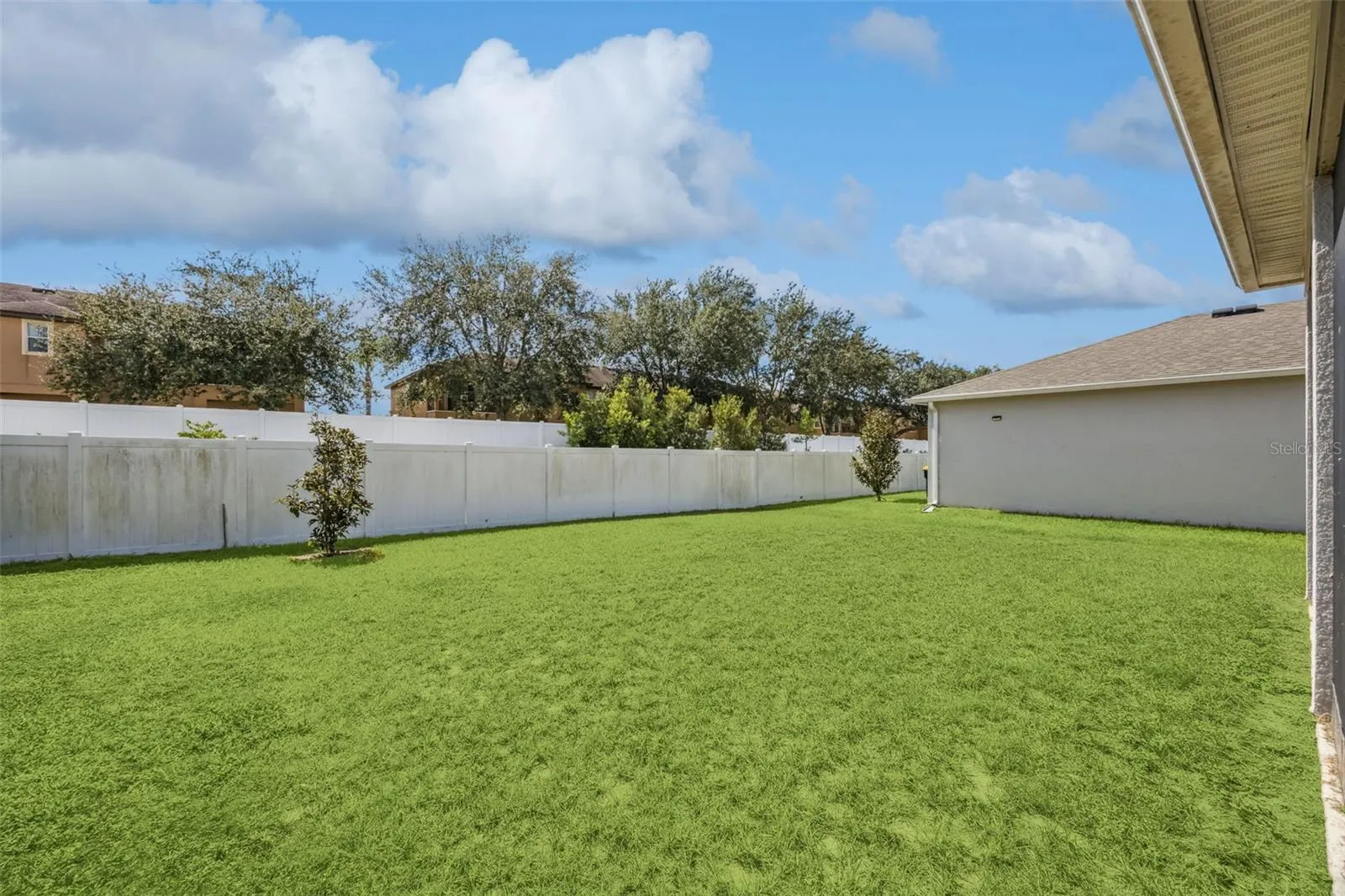 Huge Backyard