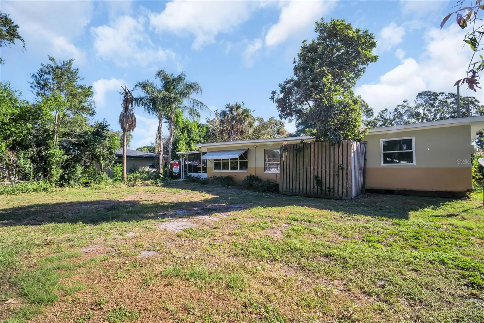 Back Yard