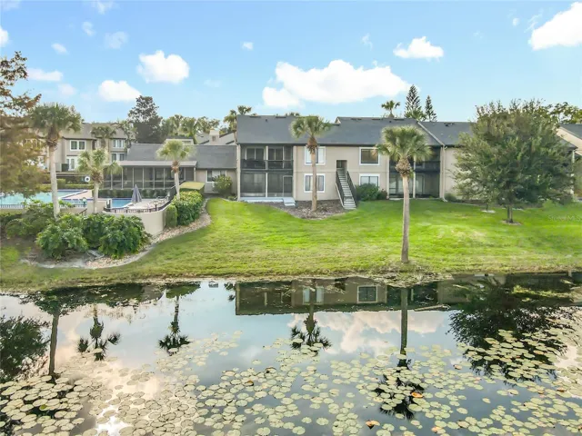 Lake view