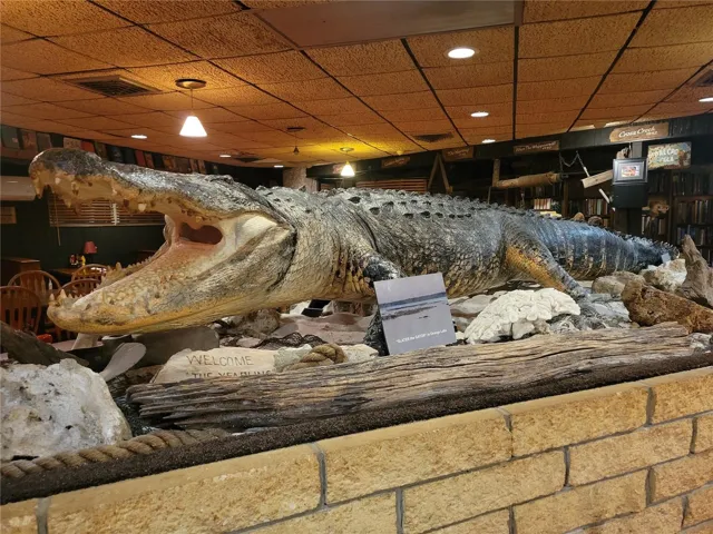 1170