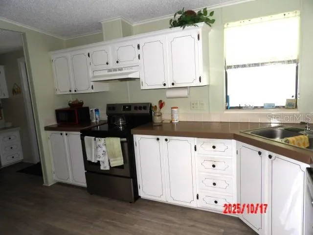 Kitchen  Has lots of Cabinets